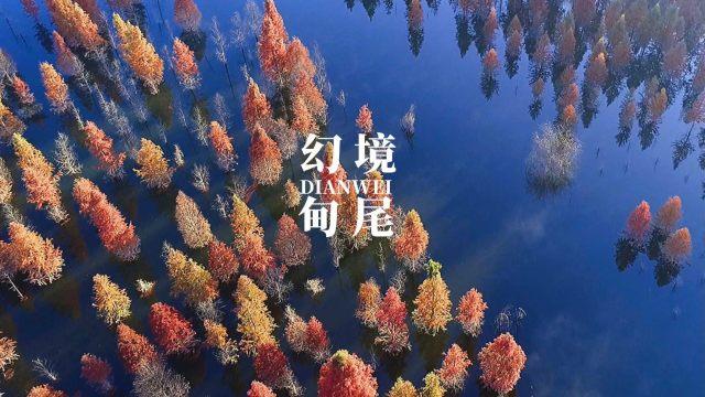 逗小猴开心系列176