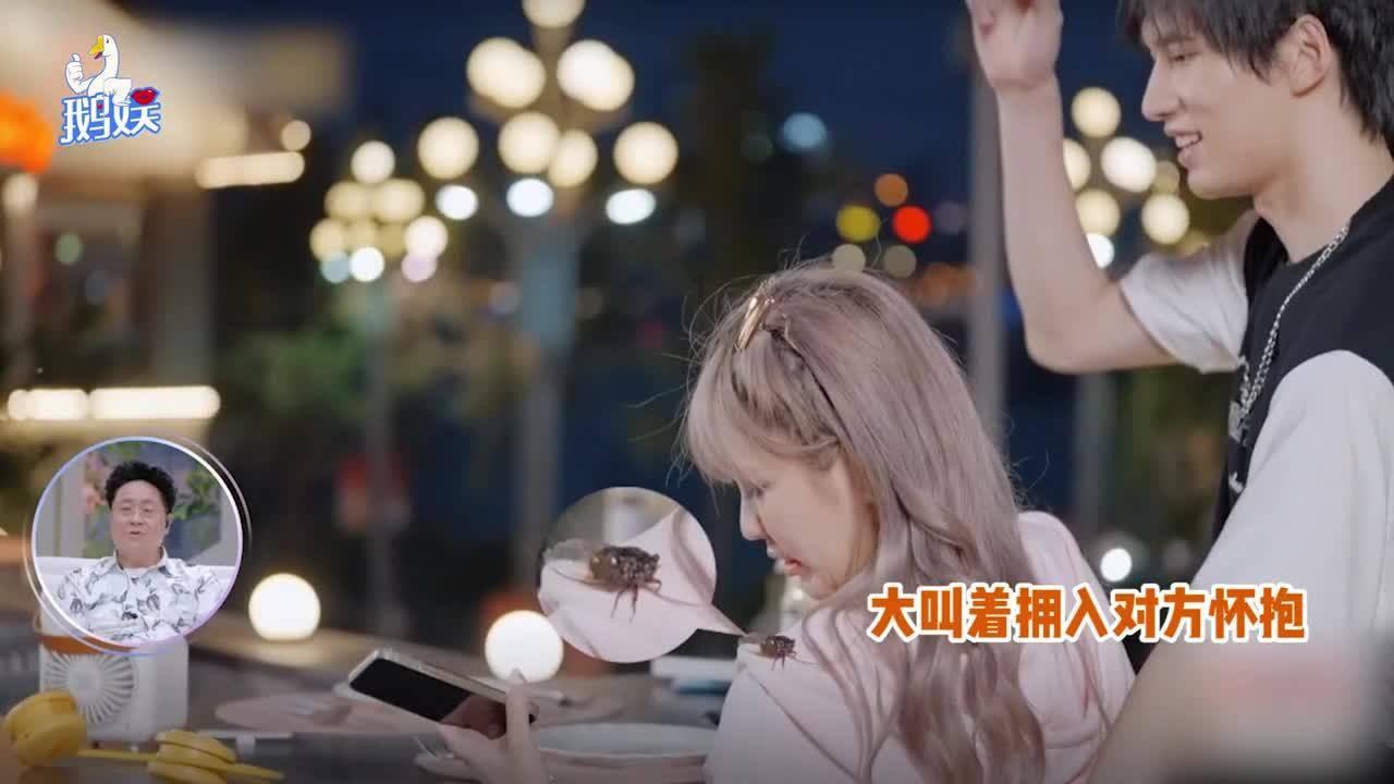 逃离木质小屋